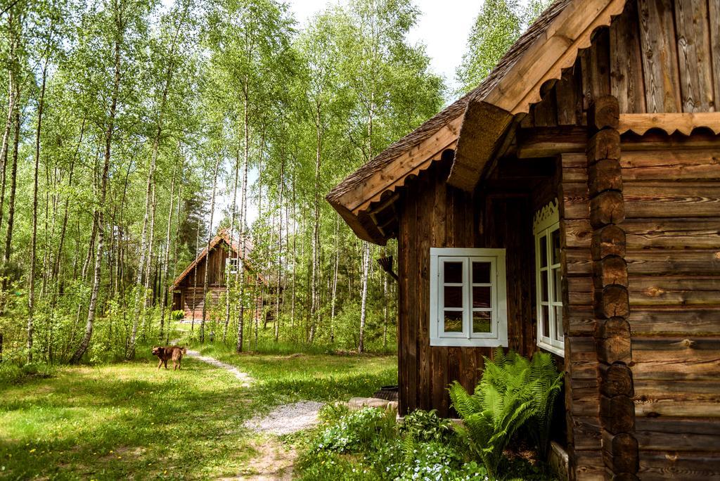 Vabalyne Pension Vilkiskes Buitenkant foto