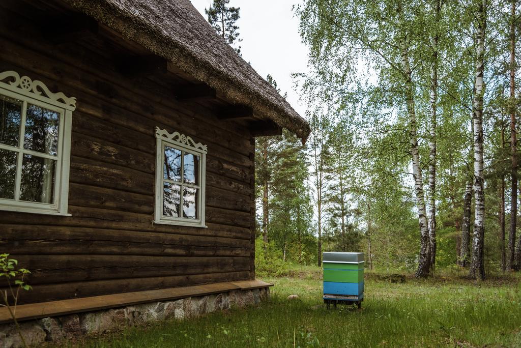 Vabalyne Pension Vilkiskes Buitenkant foto