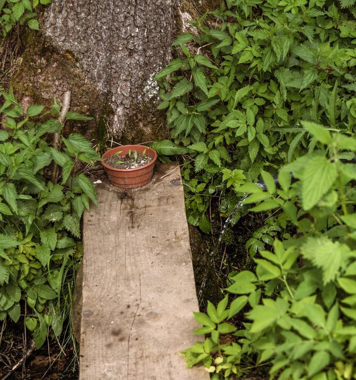 Vabalyne Pension Vilkiskes Buitenkant foto