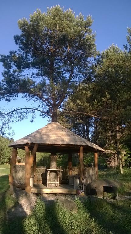 Vabalyne Pension Vilkiskes Buitenkant foto